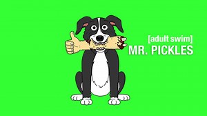 Adult Swim comes to All 4 today - your guide to all the shows available now!