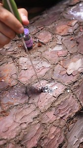 Fire without matches in the wild | Awesome