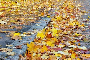 Leaf Collection Schedule Announced In Fairfield