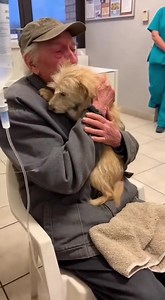 2K views · 62 reactions | “When he ripped the bag open, the dog...