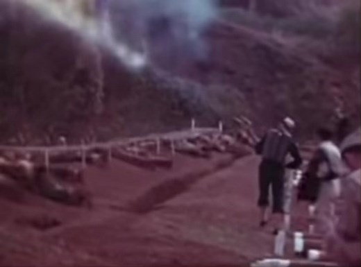 1-2-3-4 UNITED STATES MARINE CORPS 🎶 CADENCE. Original post on YouTube @ ARMED FITNESS USA. #Marinecorps #Marines #cadence #USMC #Devildog