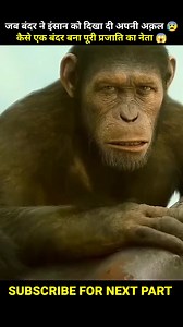 242K views · 3.9K reactions | Kaise Bandar banaa Puri prajati ka neta #bandar #monkey #neta #viral #newyear | Mehta Punit | Facebook