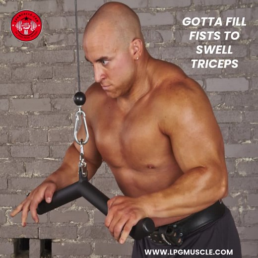 Serious about swollen Triceps? Then fill your fists with a HAM BONE Cable Tricep Workouts Bar. To release muscles for Maximum Force Production. With an Industry Leading 'Live Action' Swivel. Plus, Custom Triceps Bar Attack Angles and Fat Grip. Both proven to provoke the use of More Weight Plates. For HOG WILD Growth! Order here: https://lpgmuscle.com/products/hog-legs-ham-bone-fat-cable-tricep-workouts-bar-triceps-bar | LPGmuscle.com