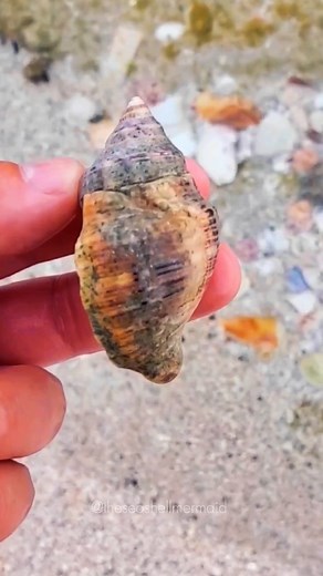 9.1K views · 19 reactions | Save & Read Below! ✨️⬇️ . I've learned...