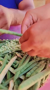 Ya Comienzan a Salir los Alacines | La Sierra TV