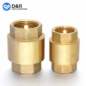 [Hot Item] D&R Female Thread Brass Vertical Lift Spring Check Valve One Way Non-Return Valve for Water
