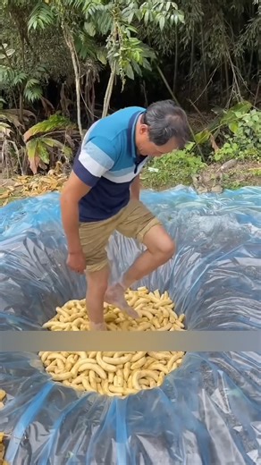 How loofah turns from a vegetable into steaming mats and scrub sponges #diy #working #machine | ᴛᴇᴍᴀᴢᴏꜱ ᴘᴀʀᴀ ᴄᴏᴍᴘᴀʀᴛɪʀ