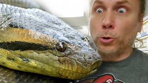 Verdi, my Green Anaconda is getting HUGE!! | Brian Barczyk