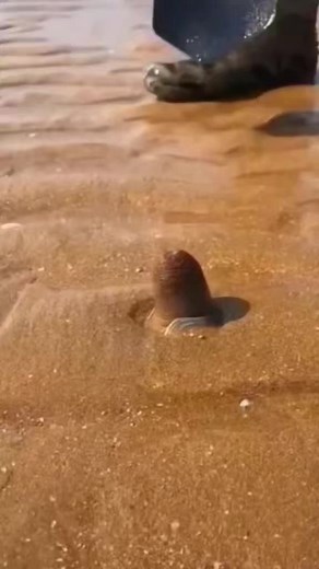 Funny🤣🤣🤣🎥 | Click & Funny Videos