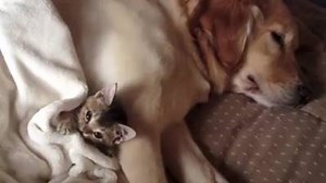 cute cute cute | Bestfunnypets