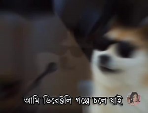 5.3K views · 227 reactions | bhoot fm এর একদম নতুন এপিসোড  | Shiam experience | Facebook