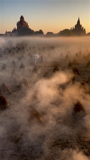 #Farmer works in a misty field of ancient Bagan, #Myanmar | மீன்கொடி