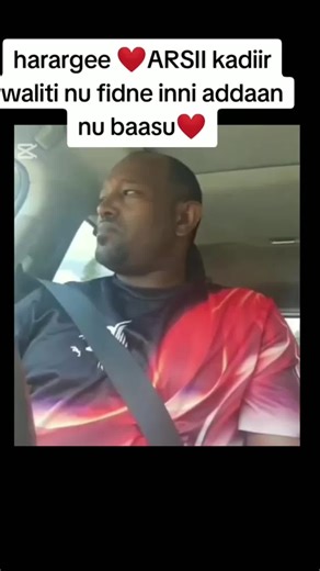 lula love on TikTok