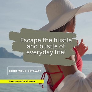 Treat yourself to a solo Tobago getaway! Stay at TECU Coral Reef. Angelfish Rooms range from $400-$500/night. Book now at www.tecucoralreef.com #tecucoralreef #escapetoCoralReef #ilovetobago #visittobago | TECU Coral Reef Hotel | Facebook