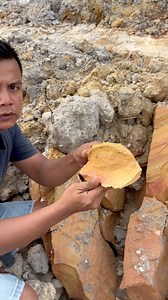 44K views · 916 reactions | Discovery of gold nuggets in dry clay #golddiscovery #goldnugget #goldprospecting #goldhunting | Nepri Andries | Facebook