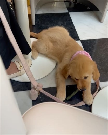 Malika Ménard on Reels