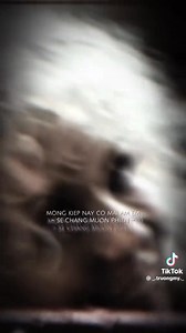 81K views · 346 reactions | Êiiiiiiii emmmm êiiiii | Như Đỗ | Facebook