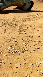 5.8K views · 222 reactions | #Agrigento in 15 secondi, avete riconosciuto tutti i luoghi?  Valle dei Templi  Scala dei Turchi  Punta Bianca  Eraclea Minoa  Capo Bianco #Agrigento in 15 seconds, have you recognized all the places?  Valley of the Temples  Scala of the Turks- White Wall  White tip  Eraclea Minoa  Capo Bianco Video and copy https://www.instagram.com/glanzetta/ #visitsicilyinfo | Visit Sicily | Facebook