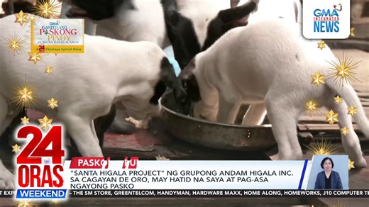 11K views · 29 reactions | Ngayong Pasko, ang adbokasiya ng isang grupo ng mga kabataan sa Cagayan de Oro,pagtulong 'di lang sa mga hayop at kalikasan, kundi pati sa mga naging biktima ng kalamidad. | GMA News | Facebook