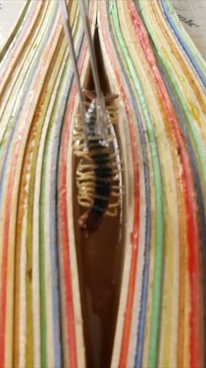 An Axe Handle Like No Other #epoxyresin #tools #axehandle #axes | Jonny Builds