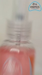 Plongez dans un monde de saveurs avec les parfums envoûtants d'Animos pour vos compagnons à quatre pattes ! Choisissez parmi nos cinq délicieuses essences : cerise, fraise, pêche, caramel et citron. Ces fragrances persistantes sont parfaites pour tous les chiens et chats, des plus petits aux plus grands. Offrez-leur une expérience olfactive inoubliable ! #setif #constantine #oran #algerie #alger #skikda #annaba #batna #msila #bejaia #jijel #soukahras #Tebessa #khanchela #Biskra #ELOUED #Tindouf 