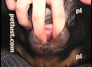 Guys And Female Dogs P204 Inside Rottweiler