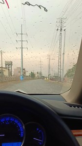 03425762173 Lmar Marketing ☀️ . . #lmarmarketing #Peshawar #hayatabad #trendingreelsvideo #Askari #army #paksitan | Lmar Marketing