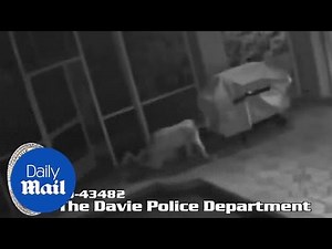 Man spotted prowling outside home peeping into windows