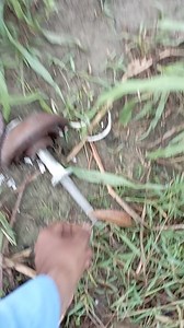 13K views · 66 reactions | Pin type insulator cracked and line fault #electricjob #insulators #linemanlife⚡ | Lineman24.com | Facebook