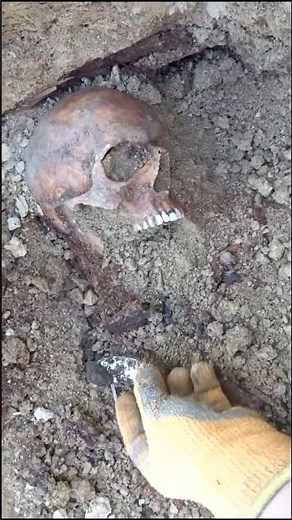 Body of German officer found with condoms and shrapnel injuries - WWII exhumations