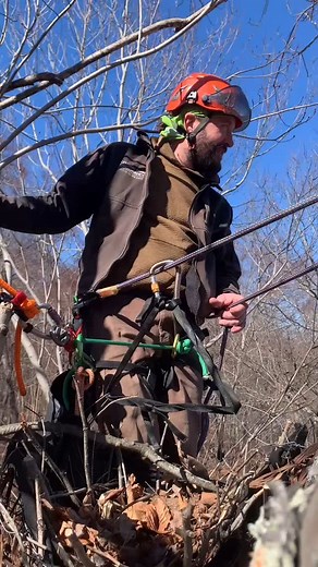 Why Build a Great Horned Owl Nest? 🪹 Great horned owls are essential predators in backyard ecosystems — but they face increasing habitat loss as old trees and natural nesting sites disappear. Since these owls don’t build their own nests, offering a simple platform can directly support local populations. Beyond conservation, there’s a certain magic in sharing space with an owl 🦉. Their presence signals a healthy, balanced ecosystem — and few sounds rival the low, resonant hoot of an owl on a wi