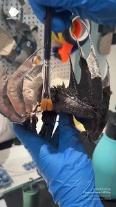 ✨ Schaut euch diesen atemberaubenden 3D-gedruckten Smaug aus "Der Hobbit" an! 🐉 🔥 Der Anycubic Photon Mono M7 Pro erweckt den mächtigen Drachen mit unglaublicher Detailgenauigkeit und Präzision zum Leben. ACreator @chitubox_official Model von @navarretestudio 📸 Bereit, euer eigenes 3D-Druck-Abenteuer zu beginnen? Schließt euch uns an und erschafft eure fantastischen Meisterwerke! https://bit.ly/4baN167 #ACreator #Anycubic #3DPrinting #Challenge #AllSpeedAllSpirit #Anycubicool #Anycanprint #Ho