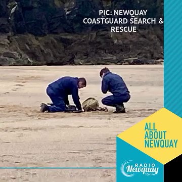 6.4K views · 37 reactions | A mystery object washed up at Tolcarne...