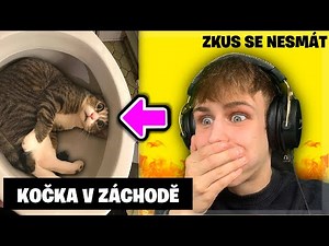 Zkus Se Nesmát: LEGRAČNÍ ZVÍŘÁTKA (Nejde To!)
