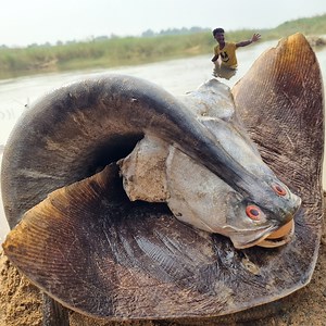 4.4M views · 44K reactions | Best 2024 fishing video. catching big stuck fish form river dry place deep underground hole #fish #video #fishing | Only Fishing | Facebook