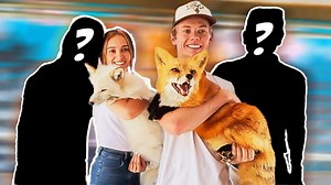 3.1K views · 99 reactions | Foxes everywhere  | Tanner Fox | Facebook