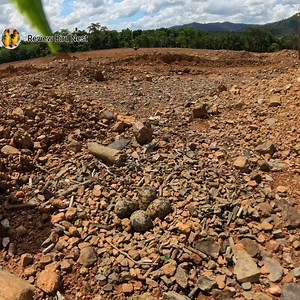Red-wattled lapwing Bird Protect your baby in the nest from the sun Full Video | Review Bird Nest