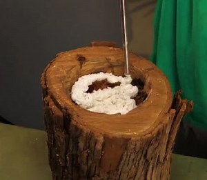 3.1M views · 2.1K reactions | Handmade drinker gadget for your puppy! | 5-Minute Crafts Men | Facebook