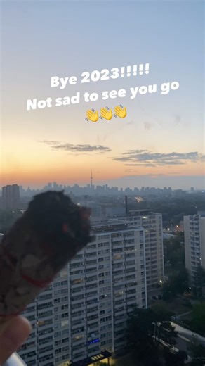 Byeeeeeee 2023! Not sad at all that you are over! Sending you all happy positive vibes for a magical 2024 ❤️👋🎉 | Cory Lee