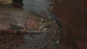 North Shore steel! St. Croix Rods | Lovin' Lake County, MN | Superior Angling Co