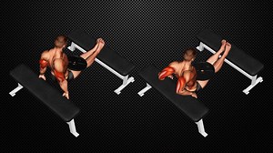 Weighted Bench Dip: Build Triceps and Chest Strength Effectively – Fitness Volt