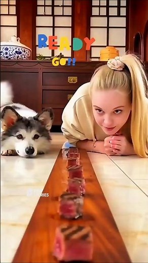 Woman vs Dog Who Grabs the Meat First #shorts