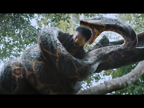 ANACONDA 2024 É O MELHOR FILME DE COBRA GIGANTE QUE VOCÊ VAI VER! RECAP #anaconda #sucuri #piton