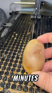 Beautiful Madagascan agate sliced in half! #agate #Madagascar #geology #rockhound | Kaines Crystals