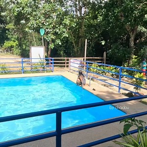 190K views · 1.4K reactions | Kaibo Cold Spring Barangay Apo Argao Cebu #coldspring | by chadou | Facebook