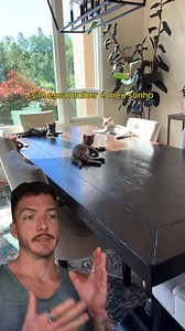 A mulher tem a sorte grande, esse gato é muito lindo! #bengala #gato #pet #natureza | BoiSelvagem