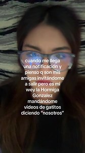 Notificación equivocada: Hormiga González manda videos de gatitos