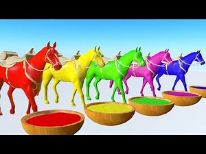 Horse Drinking Colorful Juice And Change Color - Funny Animation Video Animal Kingdom