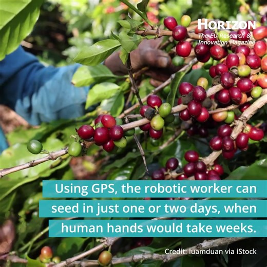 Robotic field workers could help solve one of the biggest challenges of modern-day farming: labour. As fewer agricultural hands become available, robots can carry out tedious repetitive tasks – such as seeding, spraying and weeding. And drones can help spot diseased plants early on. Learn more ➡️ bit.ly/3FuGd6N #HorizonEU | HORIZON: the EU Research & Innovation magazine