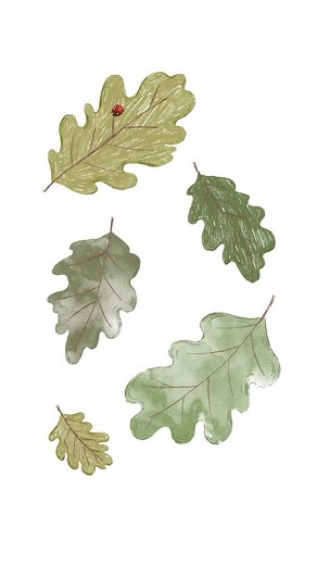 🐞 🐞 . . . . . #illustration #procreatedreams #ladybird #insectillustration #picturebookillustration #illustrator #sketchbook #bugillustration | Sarah Lou Illustration